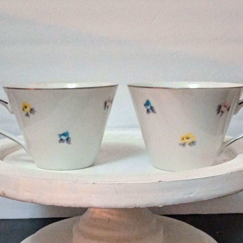 Lot of 2 Vintage Arlen "Spice" Floral Patterned Flat Cups
